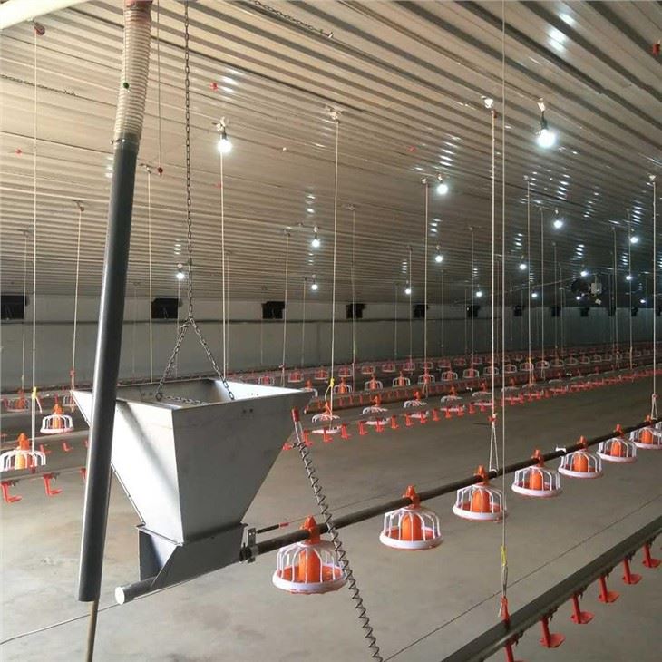 Prefabricate Steel Structure Poultry House Poultry Farming/Poultry Farm Prefabricate Steel Structure Poultry House Poultry Farming/Poultry Farm
