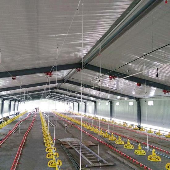 Zoom Prefabricated Heat Proof Hen House /poultry Farm House Thumbnail Image Prefabricated Heat Proof Hen House /poultry Farm House Thumbnail Image Prefabricated Heat Proof Hen House /poultry Farm House Thumbnail Image Prefabricated Heat Proof Hen House /poultry Farm House Thumbna Zoom Prefabricated Heat Proof Hen House /poultry Farm House Thumbnail Image Prefabricated Heat Proof Hen House /poultry Farm House Thumbnail Image Prefabricated Heat Proof Hen House /poultry Farm House Thumbnail Image Prefabricated Heat Proof Hen House /poultry Farm House Thumbna